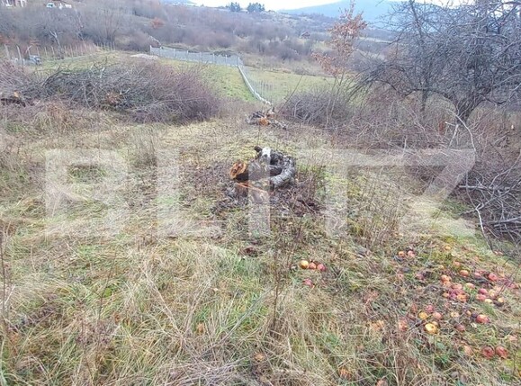 Teren de vânzare Nord-Vest - 103947TV | BLITZ Bistriţa | Poza3