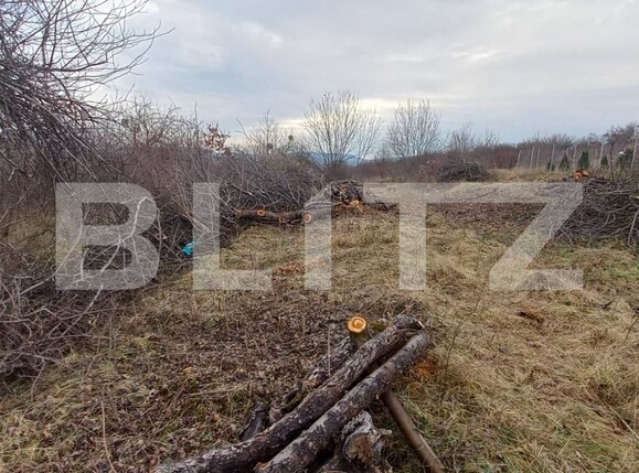 Teren de vânzare Nord-Vest - 103947TV | BLITZ Bistriţa | Poza2