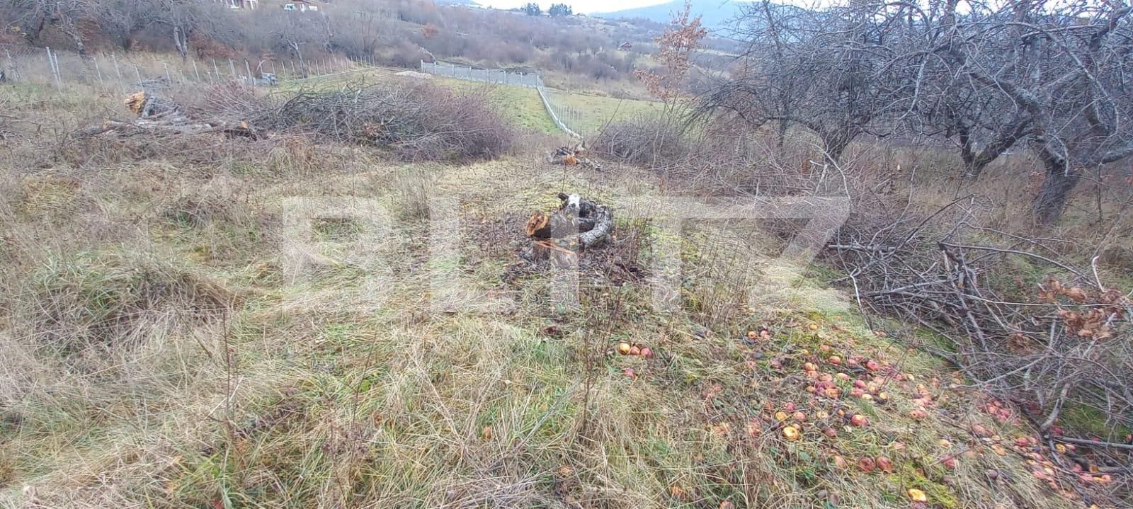 Teren de vânzare Nord-Vest - 103947TV | BLITZ Bistriţa | Poza3