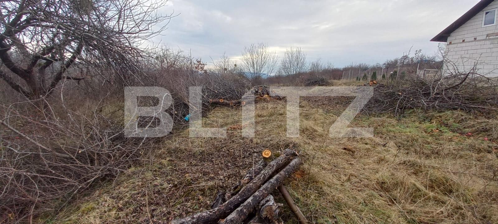 Teren de vânzare Nord-Vest - 103947TV | BLITZ Bistriţa | Poza2