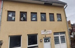 Posibilitate de Gradinita!!! Casa in Centrul Bistritei ,360mp,P+1+M