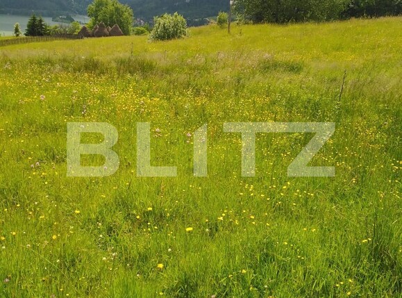 Teren de vânzare Colibiţa - 105604TV | BLITZ Bistriţa | Poza1