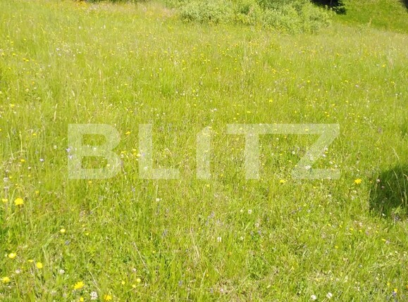 Teren de vânzare Colibiţa - 105604TV | BLITZ Bistriţa | Poza2