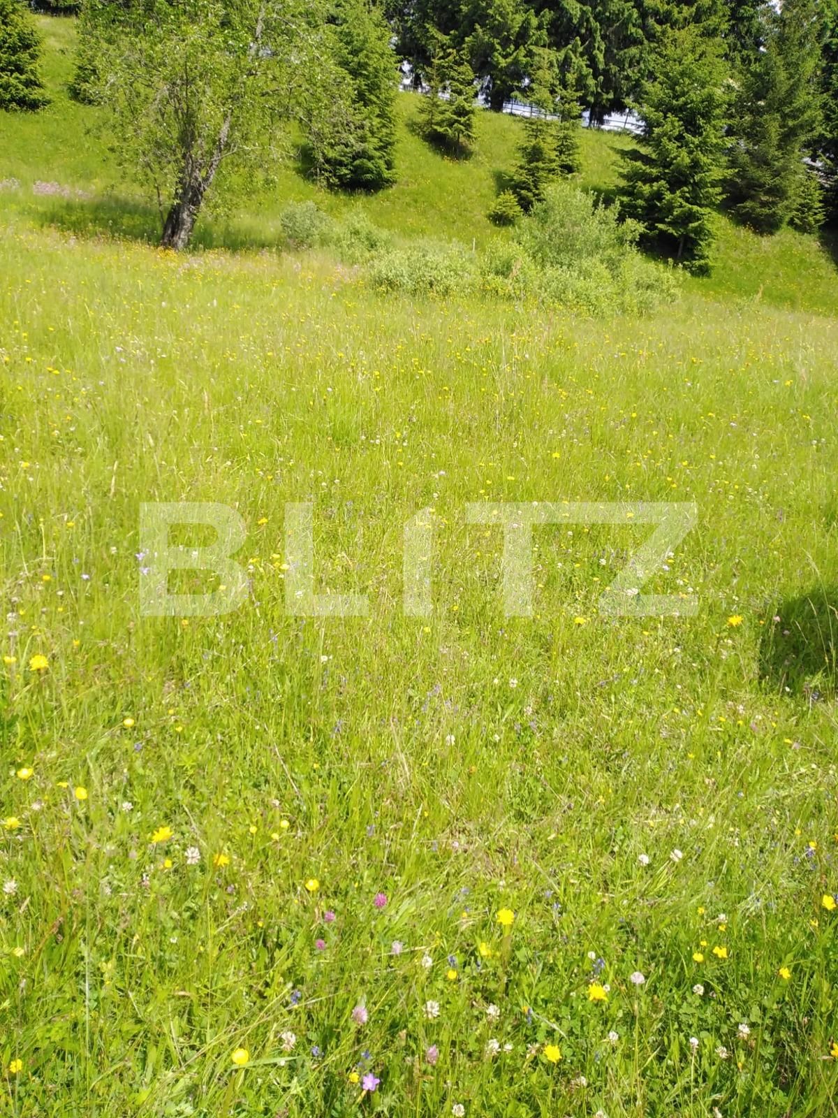 Teren de vânzare Colibiţa - 105604TV | BLITZ Bistriţa | Poza2