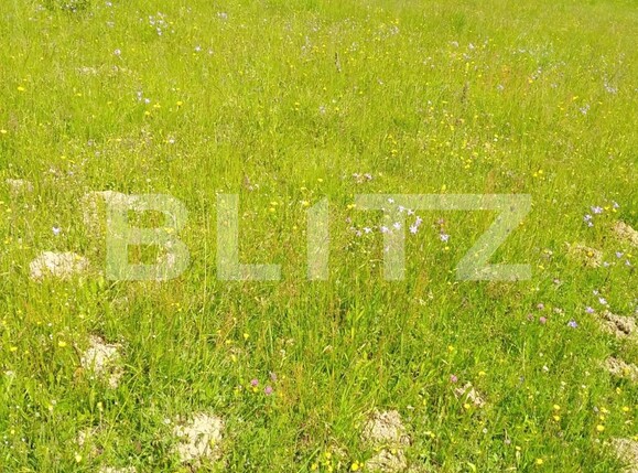 Teren de vânzare Colibiţa - 105606TV | BLITZ Bistriţa | Poza2