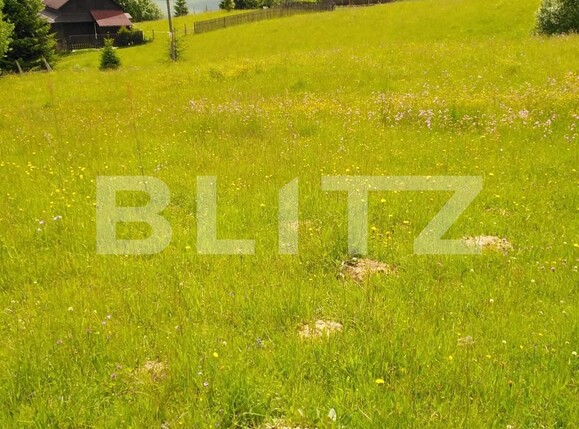 Teren de vânzare Colibiţa - 105606TV | BLITZ Bistriţa | Poza1