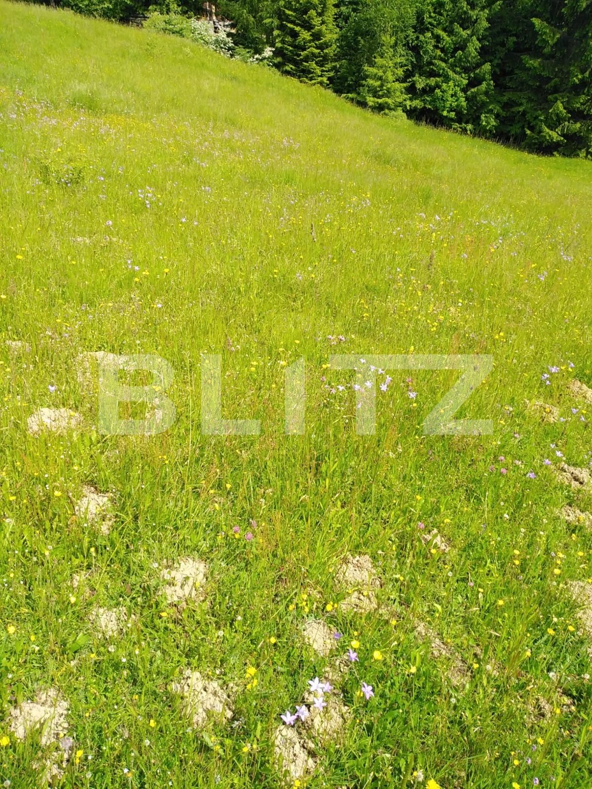 Teren de vânzare Colibiţa - 105606TV | BLITZ Bistriţa | Poza2