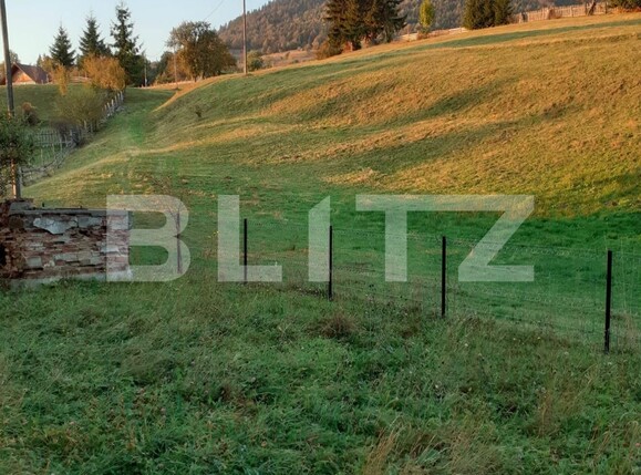 Teren de vânzare Colibiţa - 106210TV | BLITZ Bistriţa | Poza1