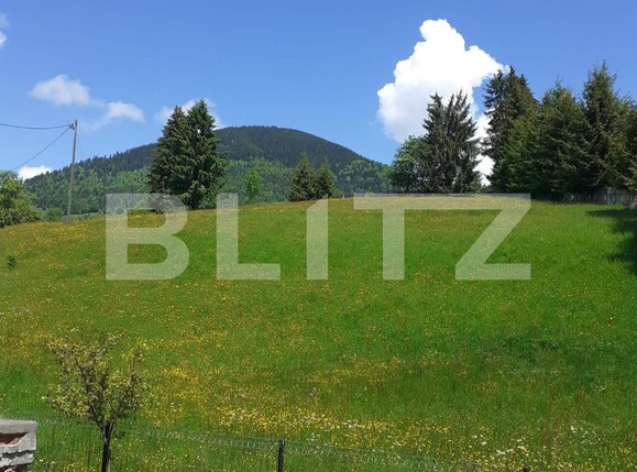 Teren de vânzare Colibiţa - 106210TV | BLITZ Bistriţa | Poza2