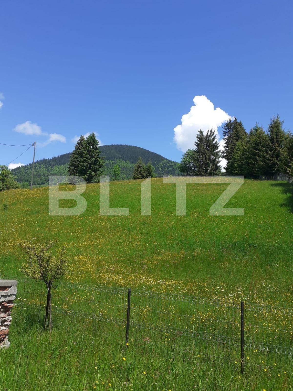 Teren de vânzare Colibiţa - 106210TV | BLITZ Bistriţa | Poza2