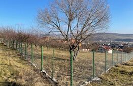 Exclusivitate !!!! Centru de ingrijire persoane varstnice