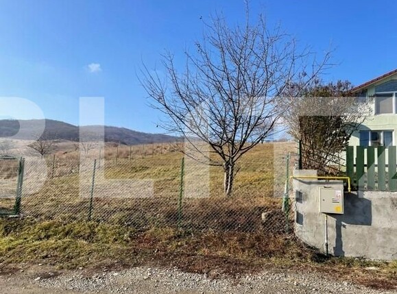 Casa de vânzare 6 camere Viișoara - 106382CV | BLITZ Bistriţa | Poza2