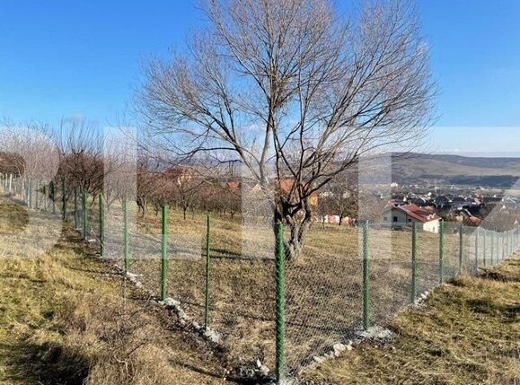 Casa de vânzare 6 camere Viișoara - 106382CV | BLITZ Bistriţa | Poza3