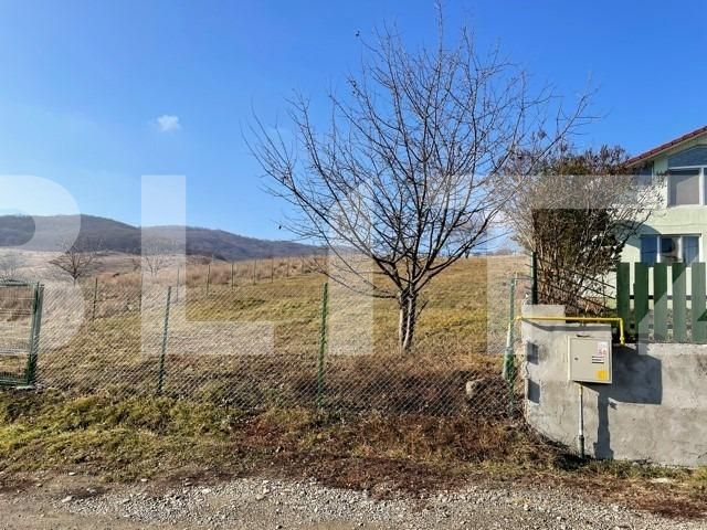 Casa de vânzare 6 camere Viișoara - 106382CV | BLITZ Bistriţa | Poza2