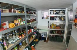 Casa de lux pe un nivel, 245mp in Unirea - Exclusivitate! Comision 0%!