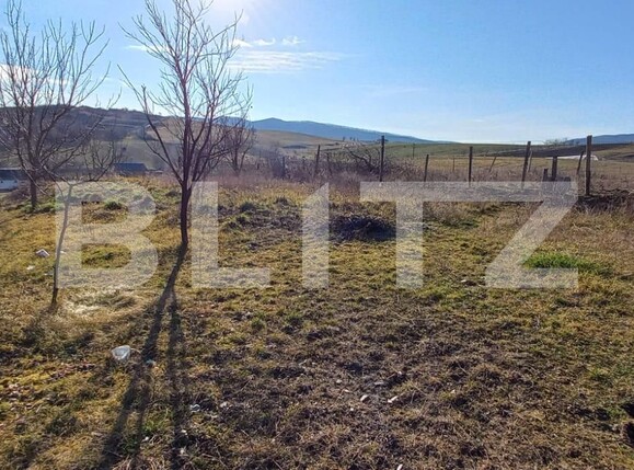 Teren de vânzare Exterior Vest - 107234TV | BLITZ Bistriţa | Poza1