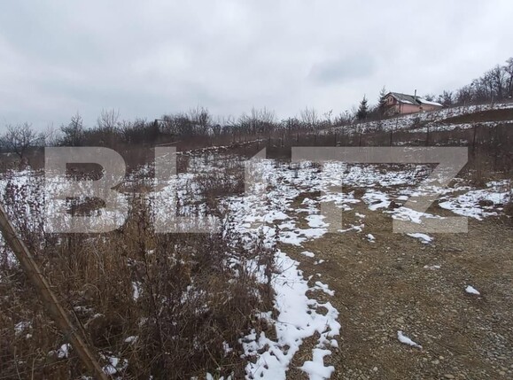 Teren de vânzare Exterior Est - 107341TV | BLITZ Bistriţa | Poza1