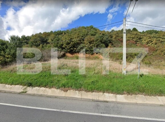 Teren de vânzare Viișoara - 107454TV | BLITZ Bistriţa | Poza1