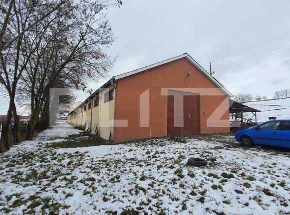 Spațiu industrial de închiriat Central - 107772SII | BLITZ Bistriţa | Poza12
