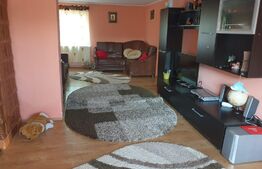 Casa si teren cu livada pe rod, 40000 mp, Departe de agitatia orasului