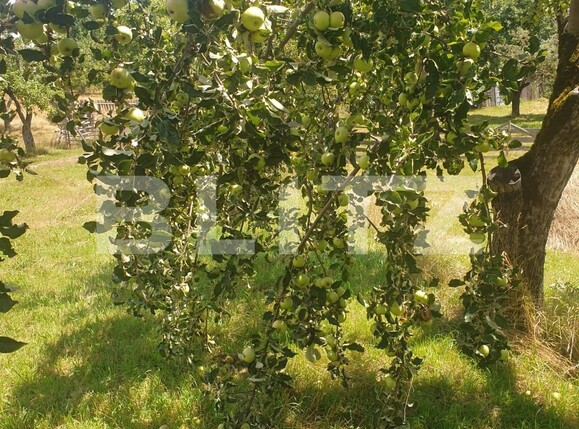 Casa de vânzare 4 camere Nord-Vest - 107786CV | BLITZ Bistriţa | Poza11