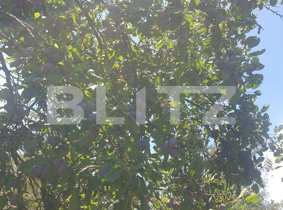 Casa de vânzare 4 camere Nord-Vest - 107786CV | BLITZ Bistriţa | Poza12