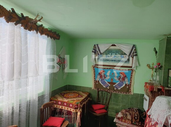 Casa de vânzare 4 camere Nord-Vest - 107786CV | BLITZ Bistriţa | Poza10