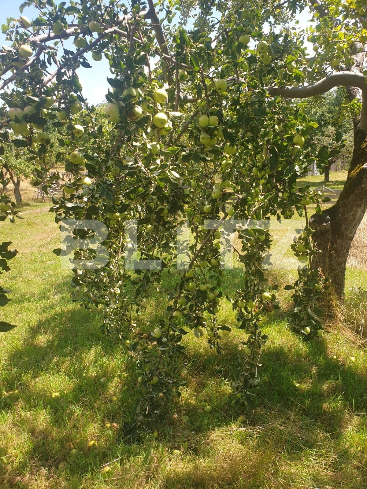 Casa de vânzare 4 camere Nord-Vest - 107786CV | BLITZ Bistriţa | Poza11