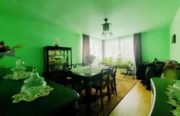 Apartament la casa, 180mp utili singur in curte, teren 100mp, Ultracentral