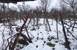 Casa la 20 km de Bistrita , teren 1800mp