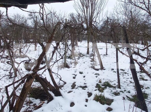 Casa de vânzare 4 camere Exterior Est - 107921CV | BLITZ Bistriţa | Poza7