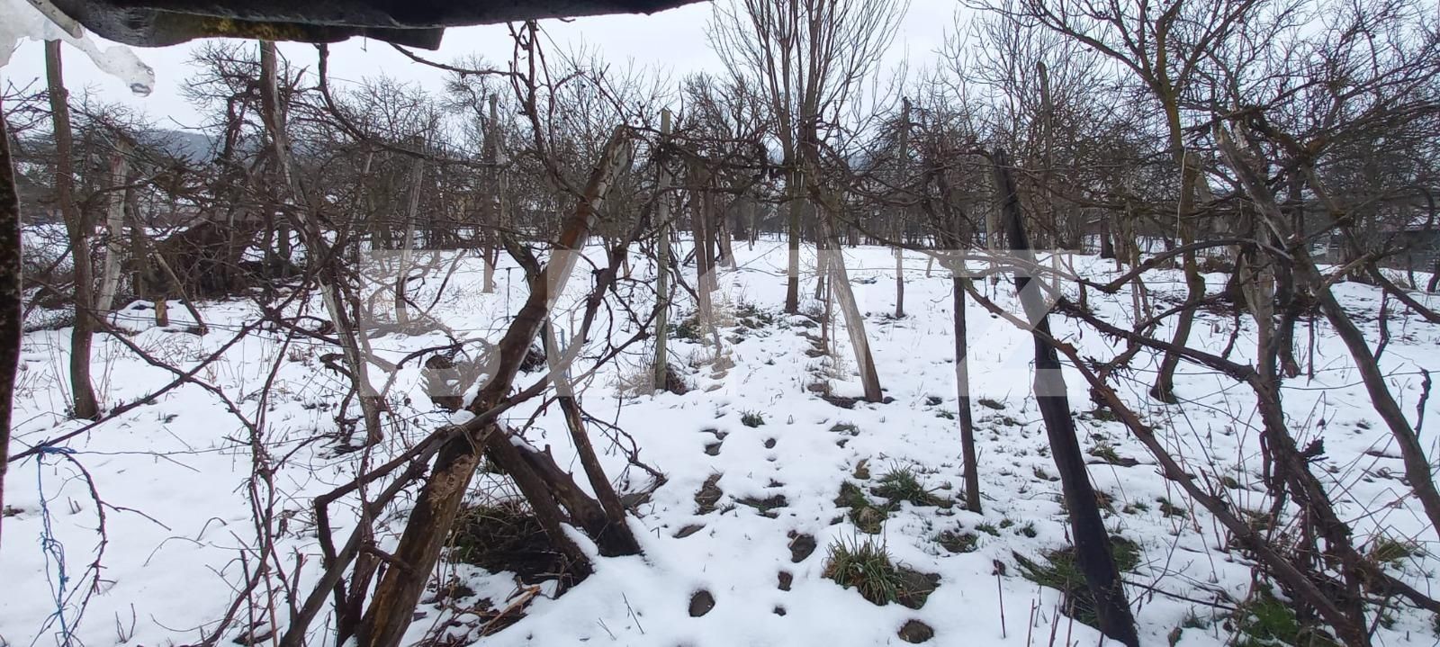 Casa de vânzare 4 camere Exterior Est - 107921CV | BLITZ Bistriţa | Poza7