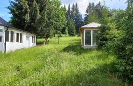 Casa -vila P+M,Teren 1100mp, Colibita 