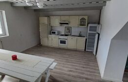 Casa -vila P+M,Teren 1100mp, Colibita 