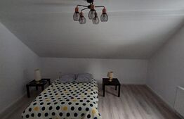 Casa -vila P+M,Teren 1100mp, Colibita 