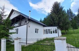 Casa -vila P+M,Teren 1100mp, Colibita 