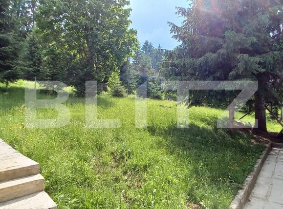 Casa de vânzare 4 camere Colibiţa - 107970CV | BLITZ Bistriţa | Poza5