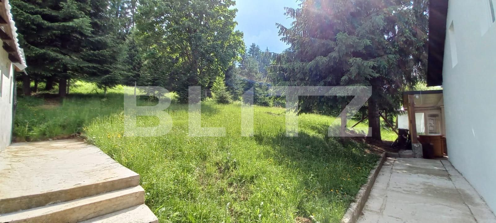 Casa de vânzare 4 camere Colibiţa - 107970CV | BLITZ Bistriţa | Poza5