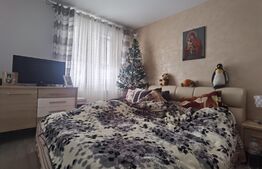 Apartament 2 camere, parter, 61 mp, strada Prundului