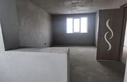 Casa la rosu 200 p+m 1000mp curte, Departe de agitatia orasului 