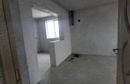 Casa la rosu 200 p+m 1000mp curte, Departe de agitatia orasului 