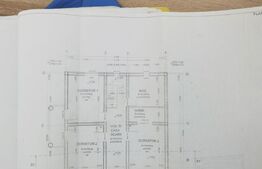 Casa la rosu 200 p+m 1000mp curte, Departe de agitatia orasului 