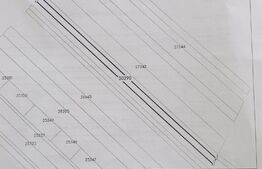 Teren extravilan 2900mp Sieu Magherus