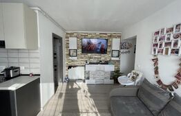 Apartament de inchiriat, 300 de euro