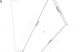 Teren de vanzare 7500 mp, Zona Leoni