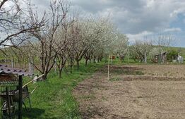 Casa de vis pe 3 nivele, cu grădină generoasă și anexe multiple, la numai 4 km de Bistrița