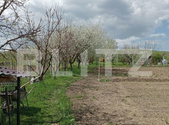 Casa de vânzare 3 camere Sud-Est - 109136CV | BLITZ Bistriţa | Poza3