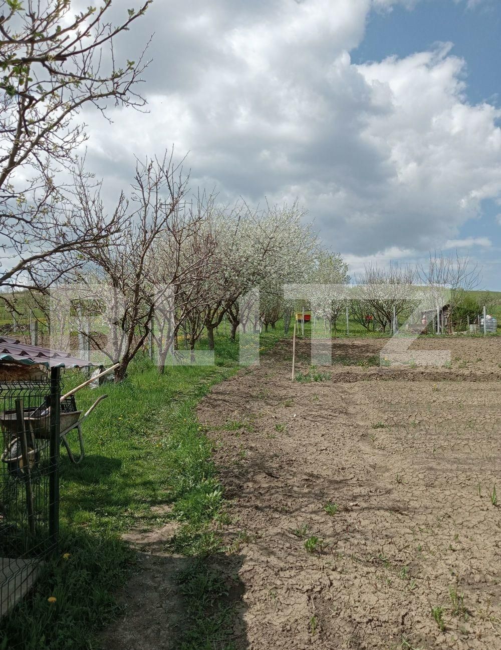 Casa de vânzare 3 camere Sud-Est - 109136CV | BLITZ Bistriţa | Poza3