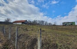 Teren de vanzare extravilan in Bistrita, 78,75 ari + anexă