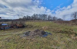 Teren de vanzare extravilan in Bistrita, 78,75 ari + anexă